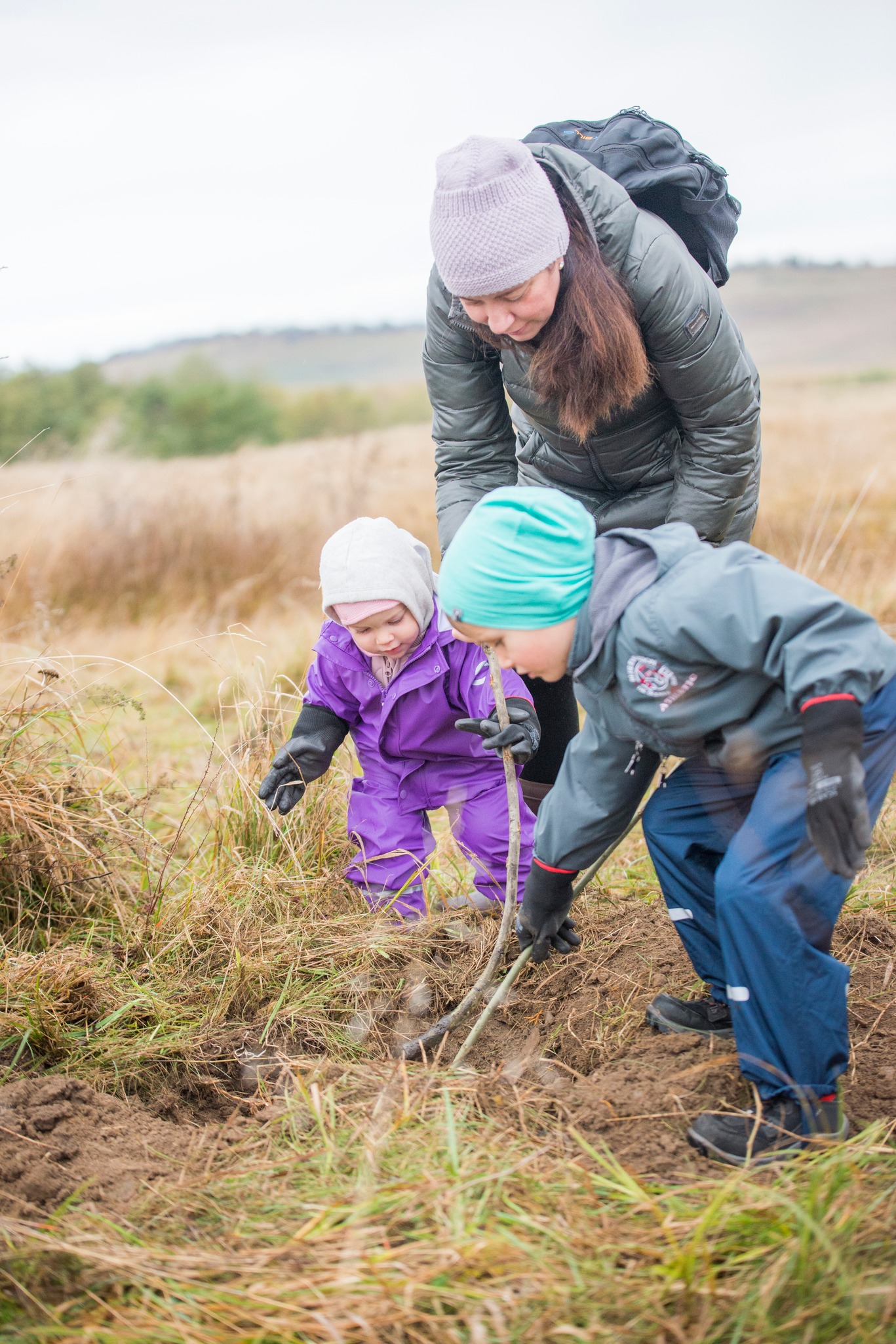 Plantare Ocna Sibiului 16